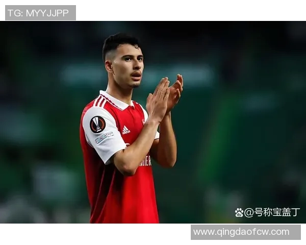 马丁内利:从青涩小将到足球场上的闪耀明星之路