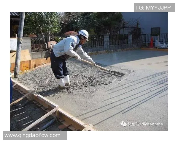 杭州滑板队灵活性表现数据分析与提升策略探讨MBA