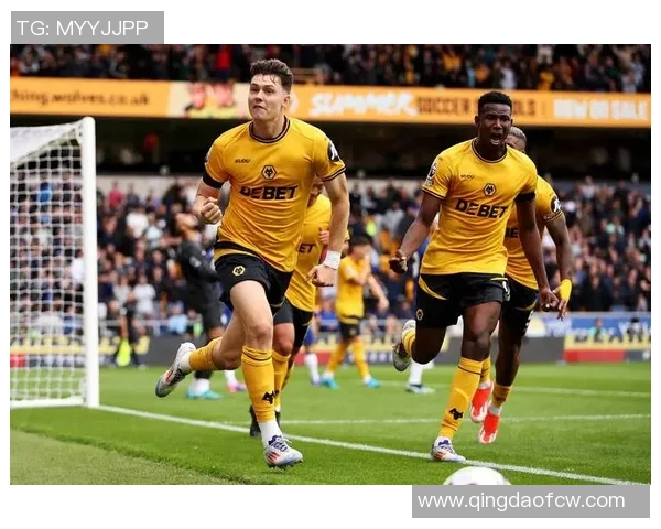 狼队与南安普顿对决前瞻分析及赛果预测，谁将赢得关键三分